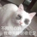 c哥哥很酷的头像