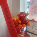 等花落等风来等相遇的头像