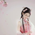 蝶梦轻舞的头像