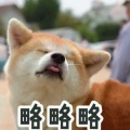 米酒小笼包的头像