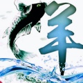 木子的头像