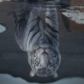 人海浮沉的头像