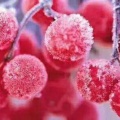 书友1698172532飘雪的头像
