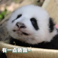 书友181的头像