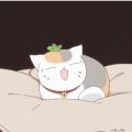爱读书的熊猫的头像