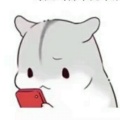 琉璃的头像
