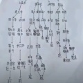 渊煜的头像