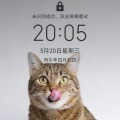刘大拿的头像