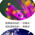 缘绊三生的头像
