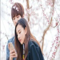 书友928020401的头像