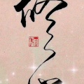 149714139的头像