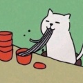 番茄茄茄的头像