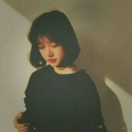 鹏篱的头像