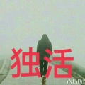 浩杰的头像