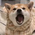书友 4072387112的头像