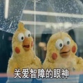 书友933361888的头像