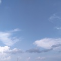 纠察队长的头像