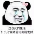 春意盎然的头像