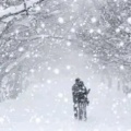 尘泉先生的头像