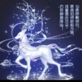 风起芸涌的头像