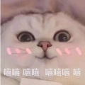 你没事吧的头像