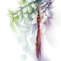 七月的头像