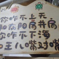小九的头像