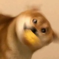 一个空气瓶子的头像