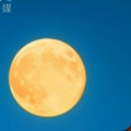 书友928518581的头像