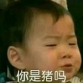 愿所得皆所期的头像