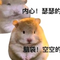 豪瑟肥鼠鼠的头像