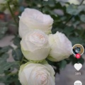 书友1342955092的头像
