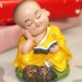 书友936301368的头像