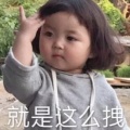 难知的头像