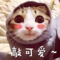 书友930607485的头像