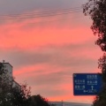 禾希的头像