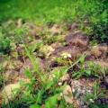 钱兜兜的头像