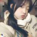 玉兰杉的头像