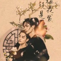 博君一肖的头像