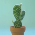 二真的头像