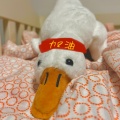 雪黎黎的头像