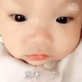 书友384515233的头像