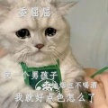 爱看中枢的我的头像