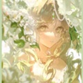白詹追更渡渡鸟版的头像