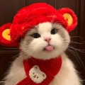 爱看书的Y的头像