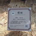 常山赵子龙的头像