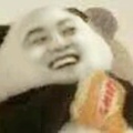 爱园园的头像