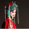 书友876548348的头像