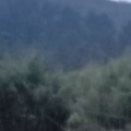 书友 3462848574的头像