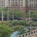 老人的头像